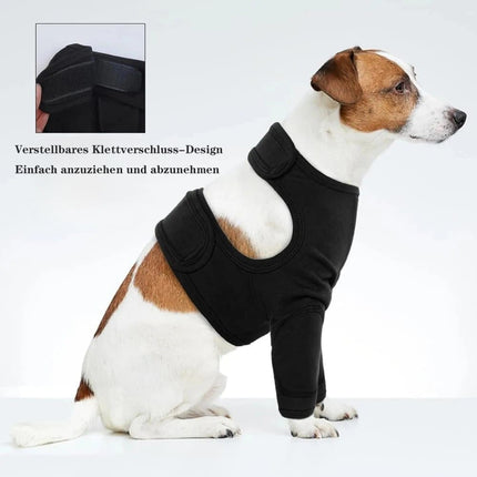 Pet Care Cartoz.