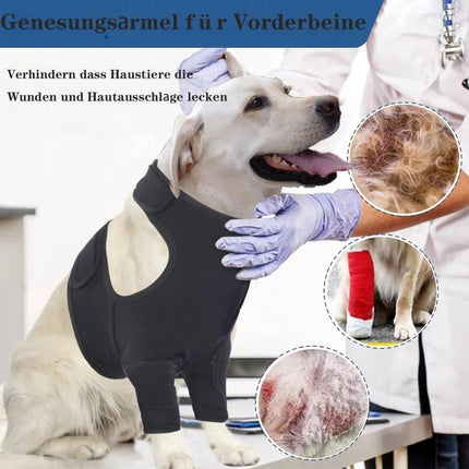 Pet Care Cartoz.