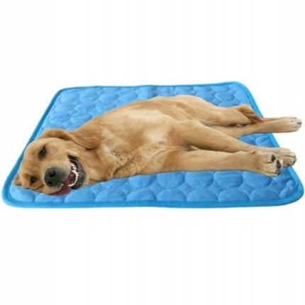 Pet Care Cartoz.