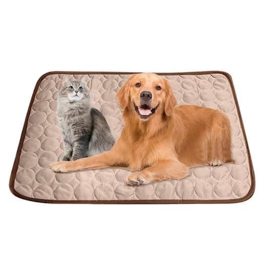 Pet Care.
