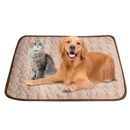Pet Care.