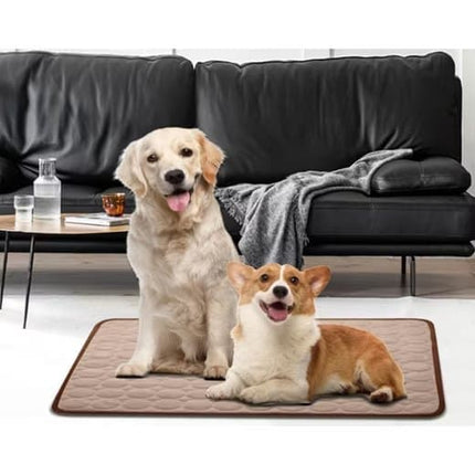 Pet Care.