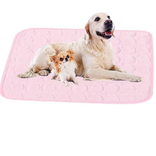 Pet Care.