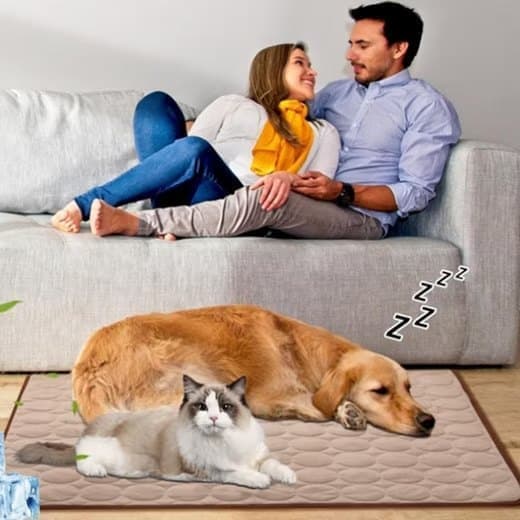 Cooling Mat for Dogs and Cats, Breathable, Multiple Colors, Compatible with All Breeds, 62×50cm.