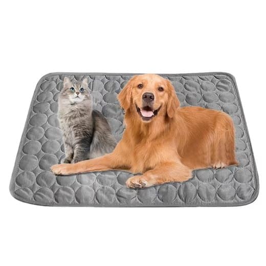 Pet Care.
