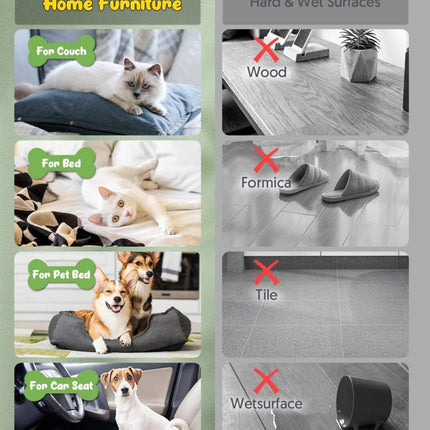 Pet Care Cartoz.