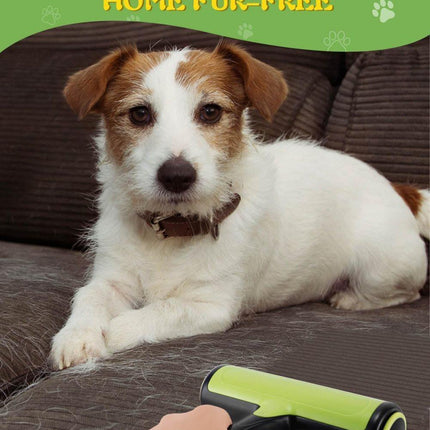 Pet Care Cartoz.