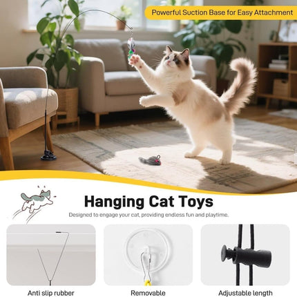 Pet Care Cartoz.