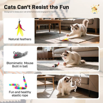 Pet Care Cartoz.