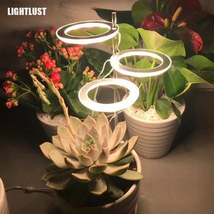 2 pcs LED Grow Light 4000K Full Spectrum with Timer, Adjustable USB Plant Lighting for Small Plants, Beige.