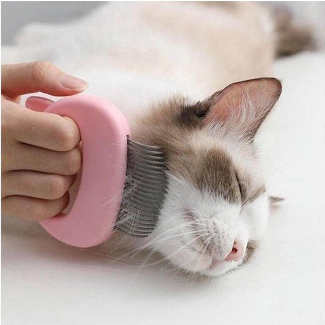 Pet Care.
