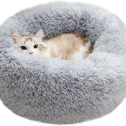 Pet Care Cartoz.