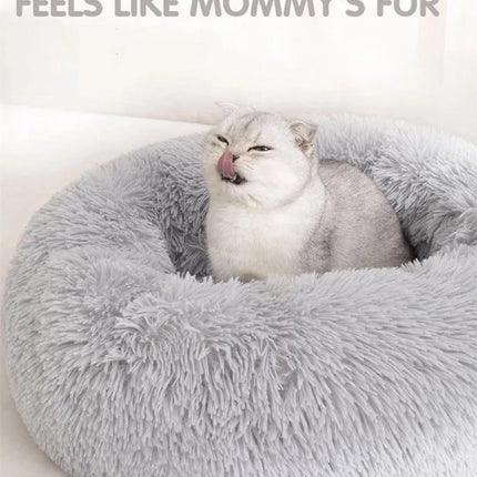 Pet Care Cartoz.