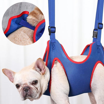 Pet Care Cartoz.