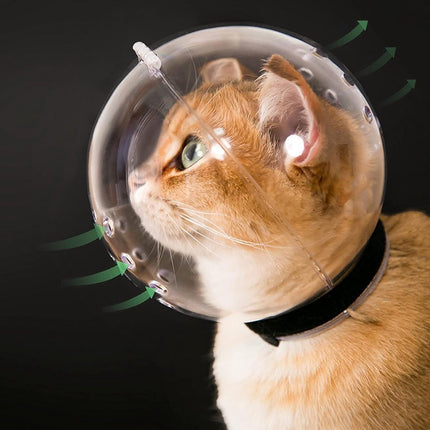 Cat muzzle - With breathable hood - Adjustable astronaut helmet for kittens - Prevents your pet from gnawing at and licking its fur - Spherical face mask - Suitable for aggressive cats (L).