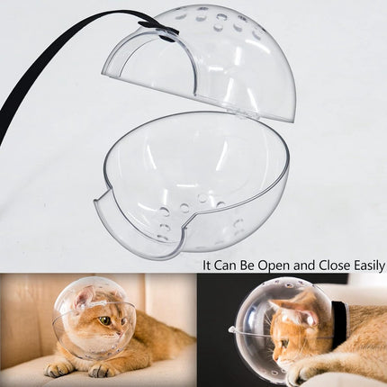 Cat muzzle - With breathable hood - Adjustable astronaut helmet for kittens - Prevents your pet from gnawing at and licking its fur - Spherical face mask - Suitable for aggressive cats (L).