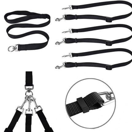 3-in-1 Dog Leash – Adjustable, detachable, for medium-sized dogs.