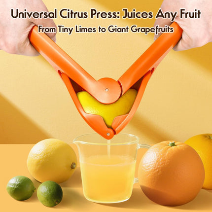 Manual Lemon Juicer – User-friendly, sturdy, for lemons/oranges.