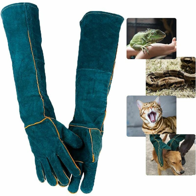 Pet Care.