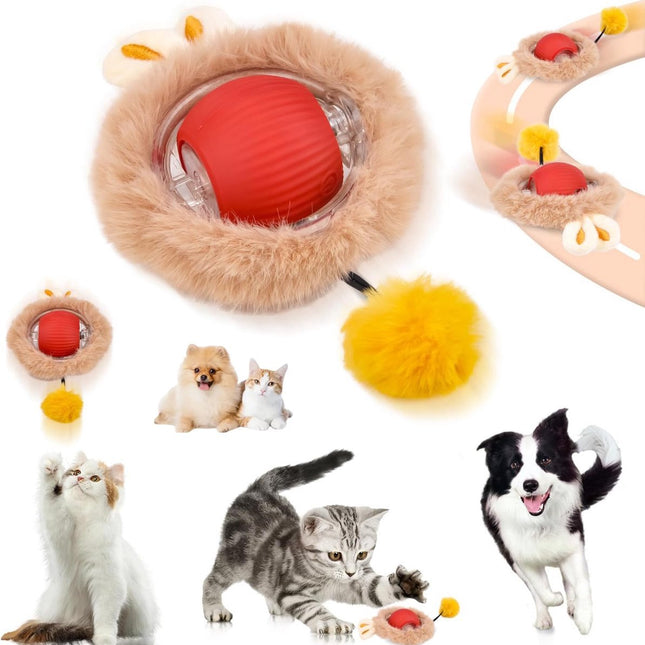 Pet Care.