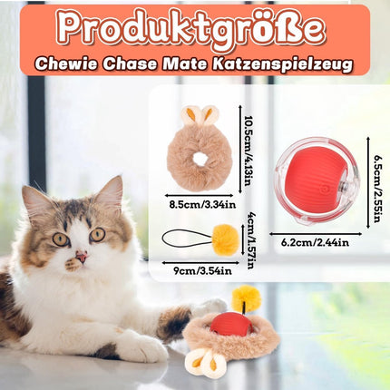 Pet Care Cartoz.