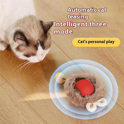 Pet Care Cartoz.