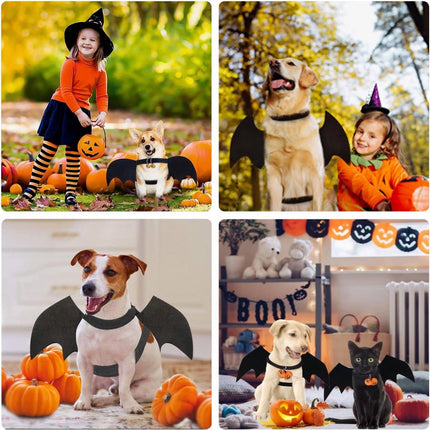 Dog Costume - Dog Halloween Costume With Pumpkin Bell - Clothing For Dogs - Cat Clothing - Funny Dog Suit - Halloween Bat Wings - Halloween Rug For Dog Or Cat - Size M - Animal Clothing - Halloween.
