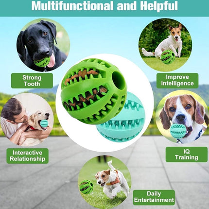 Pet Care Cartoz.
