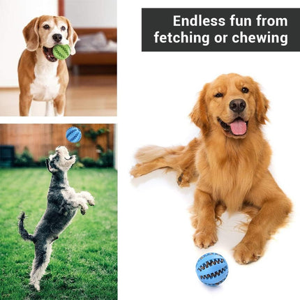 Pet Care Cartoz.