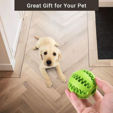 Pet Care Cartoz.