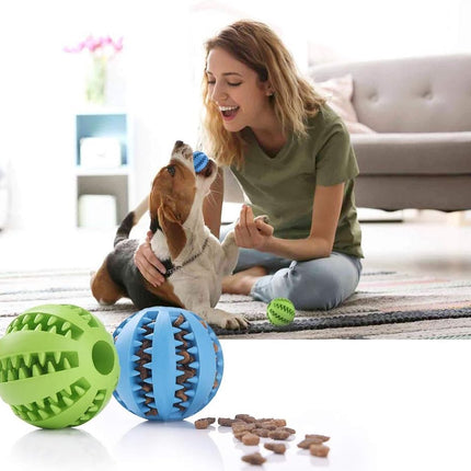 Pet Care Cartoz.