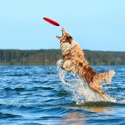 Frisbee - 7 Pieces - Dog Frisbee - Rubber Frisbee Dog - Dog Toys - Beach Toys - Disc - Soft Silicone - Dog Intelligence Toys - For All Dogs - 17.8 Cm.