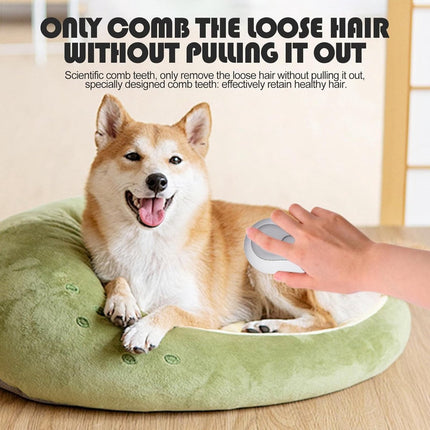 3-in-1 Steam Brush for Cats and Dogs - USB - Massage Comb - Hair Remover Brush - Dog Brush - Cat Brush with Water Reservoir and Release Button - Pet Grooming - Long/Short Hair - Self-Cleaning Soft Steam Brush for Cat and Dog.