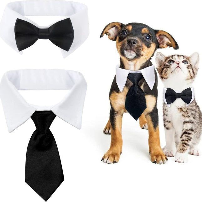 Pet Care.