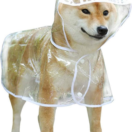 Pet Care Cartoz.