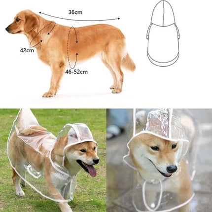 Pet Care Cartoz.