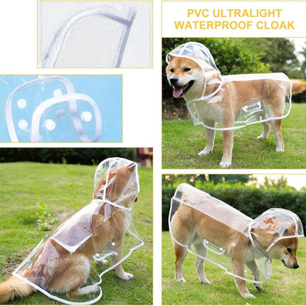 Pet Care Cartoz.