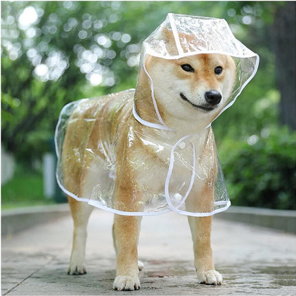 Pet Care Cartoz.