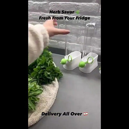 Herb Container - Herbs - Herb Jars - Fresh Keeper - Herb Vanilla Storage Container - BPA-Free - Keep Fresh - Coriander, Asparagus, Parsley and Mint - Free Herb Cutter - 27 Cm - Kitchen Tools - Reusable Fresh Herb Container.