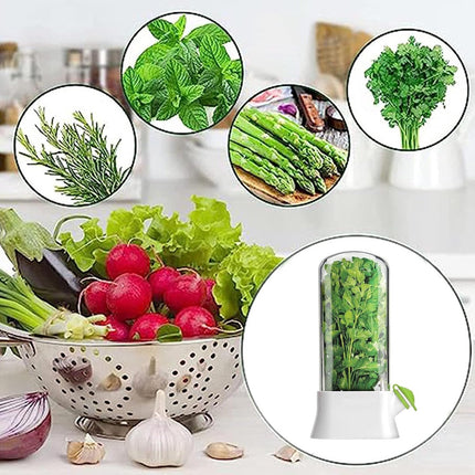 Herb Container - Herbs - Herb Jars - Fresh Keeper - Herb Vanilla Storage Container - BPA-Free - Keep Fresh - Coriander, Asparagus, Parsley and Mint - Free Herb Cutter - 27 Cm - Kitchen Tools - Reusable Fresh Herb Container.