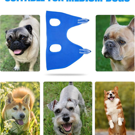 Pet Care Cartoz.