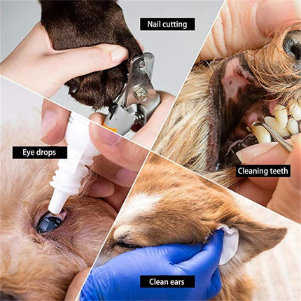 Pet Care Cartoz.