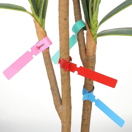 120 Plant Labels - Plastic Tree Labels - 21 x 2 cm - Plant Labels - Garden - Hanging Plant Labels - Five Colors - Suitable for Flower Gardens - Vegetable Gardens - Herb Gardens.
