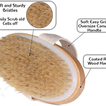 Bath Brush - Dry Brushing - Dry Brush - Body Brush - Skin Brush - Shower Brush - Bath & Shower Accessories - Skin Brush with Natural Bristles - Skin Improvement - Anti-Cellulite Brush.