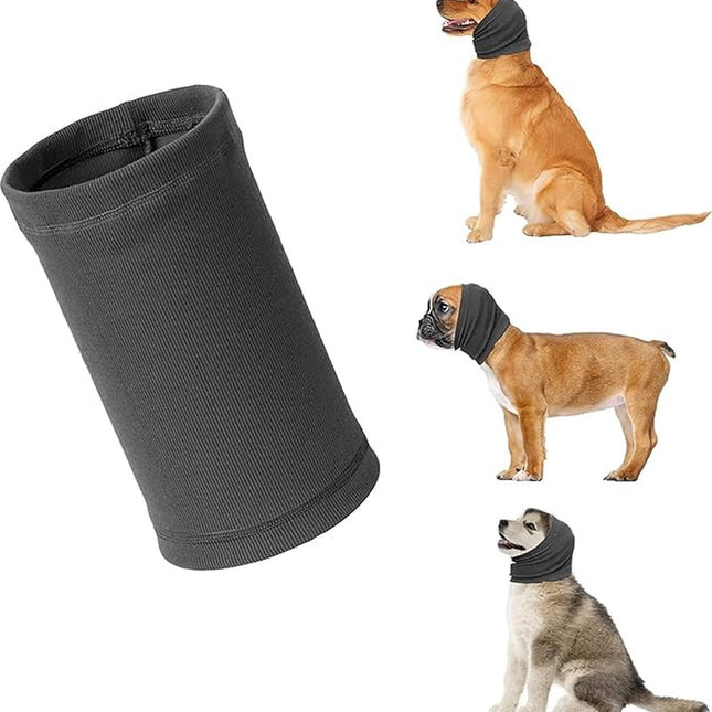 Pet Care.