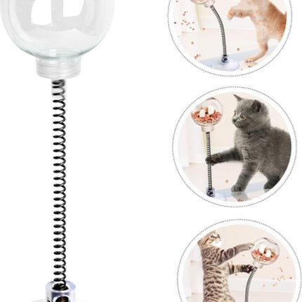 Pet Care Cartoz.
