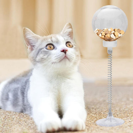 Pet Care Cartoz.