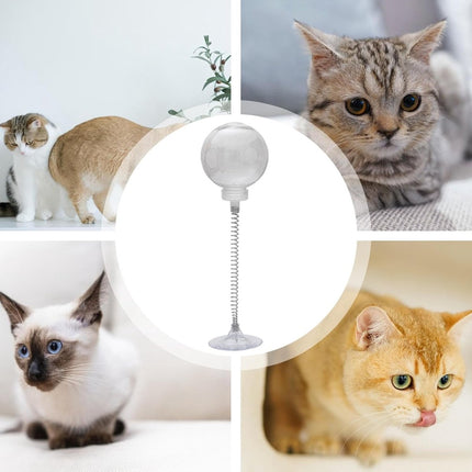 Pet Care Cartoz.