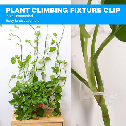 Plant Clips - Plant Clips - Climbing Plant Guide - Tie Up - Plant Support - Garden Clips - Cable Organizer - Wall-Mounted Plant Clips - For Indoor Use - Wall Mounting - Multi-purpose - Reusable - Self-Adhesive - Green/White.