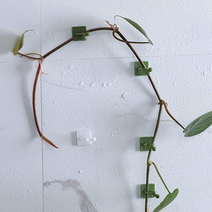 Plant Clips - Plant Clips - Climbing Plant Guide - Tie Up - Plant Support - Garden Clips - Cable Organizer - Wall-Mounted Plant Clips - For Indoor Use - Wall Mounting - Multi-purpose - Reusable - Self-Adhesive - Green/White.